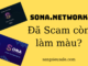 Sona.network đã scam Còn hy vọng nào không cho các nhà đầu tư Sona