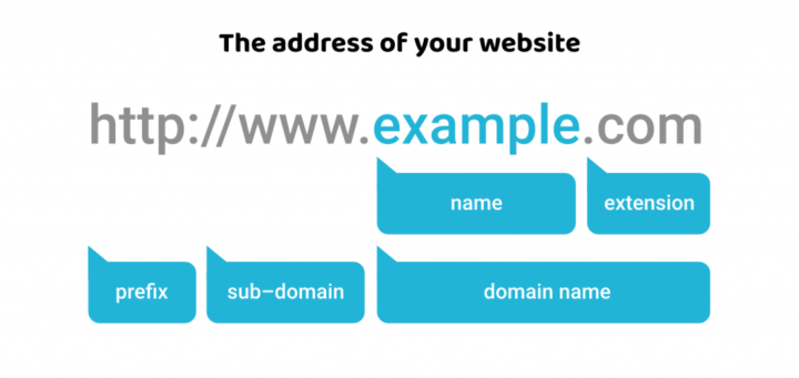 domain website