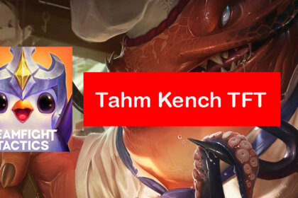tahm-kench-tft-build
